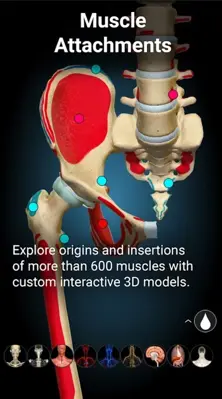 3D Anatomy Learning android App screenshot 1