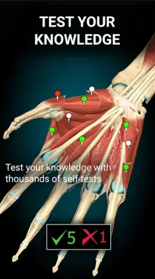 3D Anatomy Learning android App screenshot 2