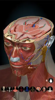 3D Anatomy Learning android App screenshot 7